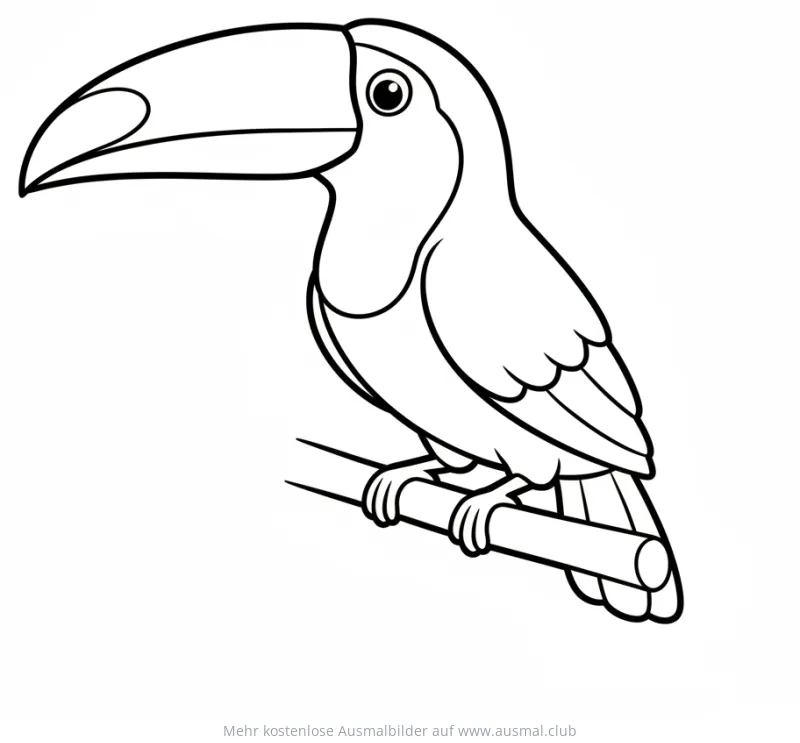 Tukan auf Ast Ausmalbild