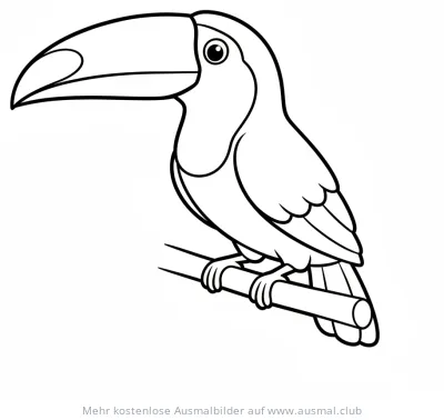 Tukan auf Ast Ausmalbild