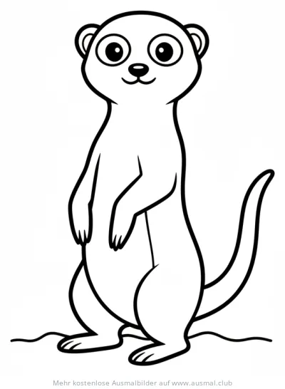 Erdmännchen steht aufrecht Ausmalbild