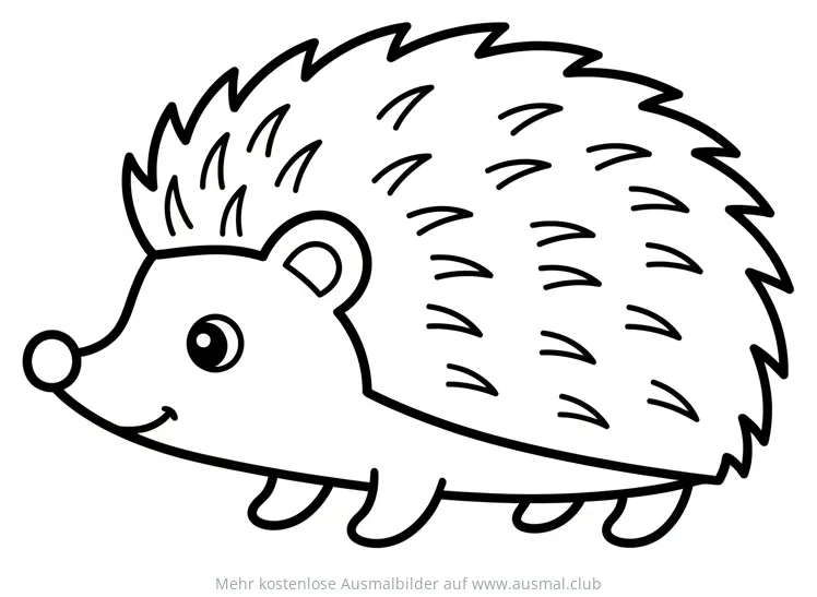 Freundlicher Igel Ausmalbild