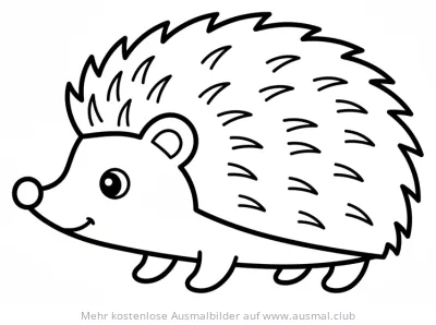 Freundlicher Igel Ausmalbild