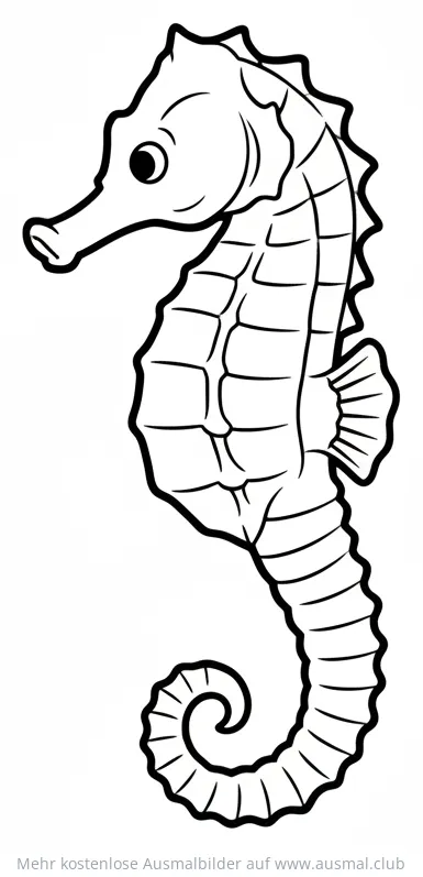Seepferdchen Ausmalbild