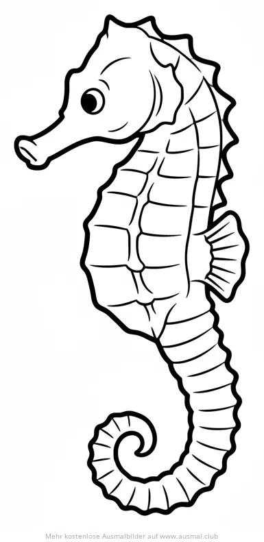 Seepferdchen Ausmalbild