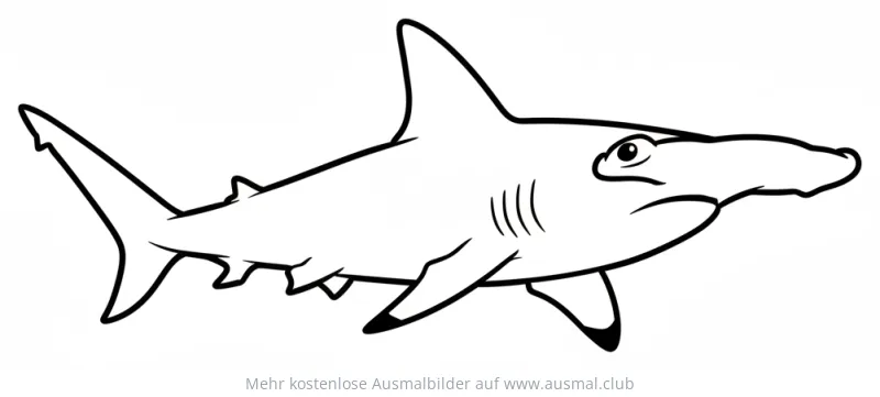 Hammerhai Ausmalbild
