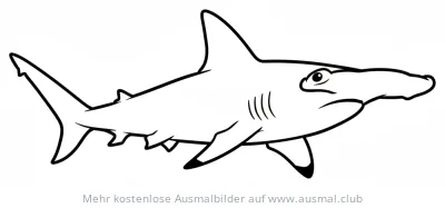 Hammerhai Ausmalbild