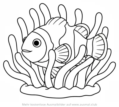 Clownfisch zwischen Seeanemone Ausmalbild