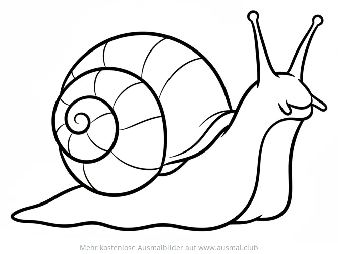 Schnecke Ausmalbild mit Schneckenhaus