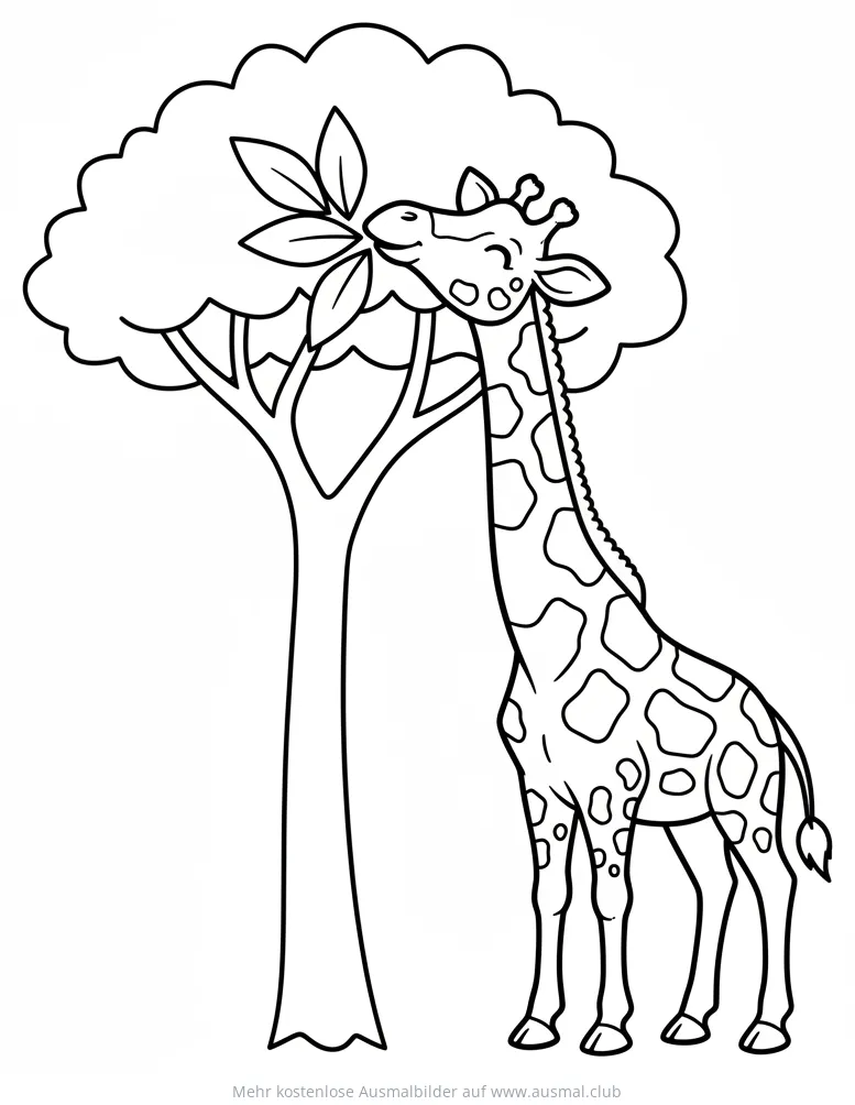 Giraffe frisst Blätter vom Baum Ausmalbild