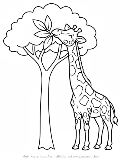 Giraffe frisst Blätter vom Baum Ausmalbild