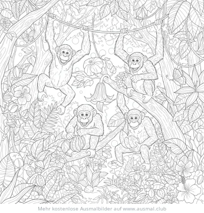 Schimpansen im Dschungel Ausmalbild