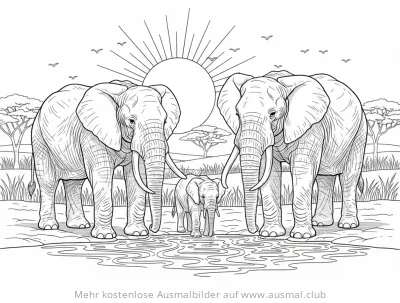 Elefanten Familie am Wasserloch Ausmalbild