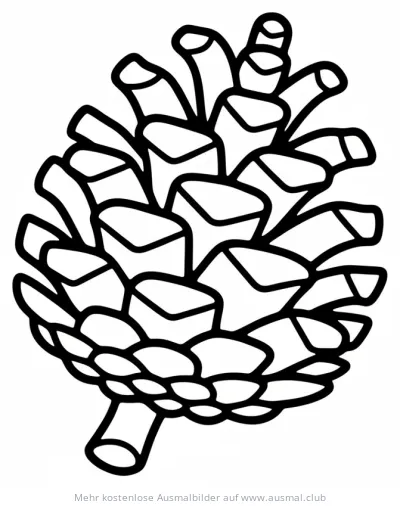 Tannenzapfen Ausmalbild