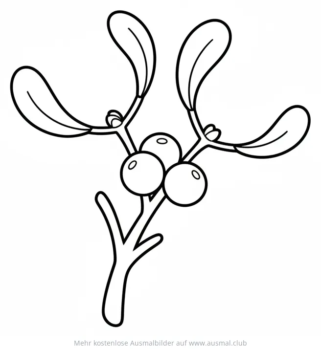 Mistelzweig mit Blättern und Beeren Ausmalbild