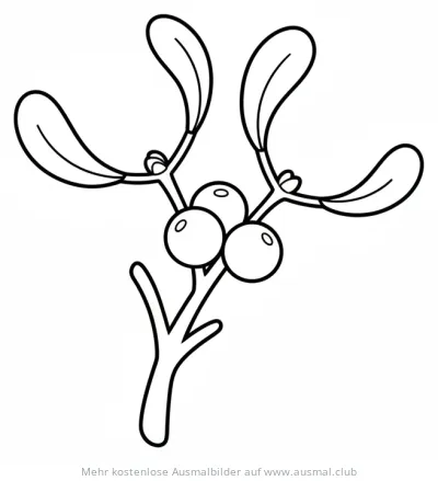 Mistelzweig mit Blättern und Beeren Ausmalbild